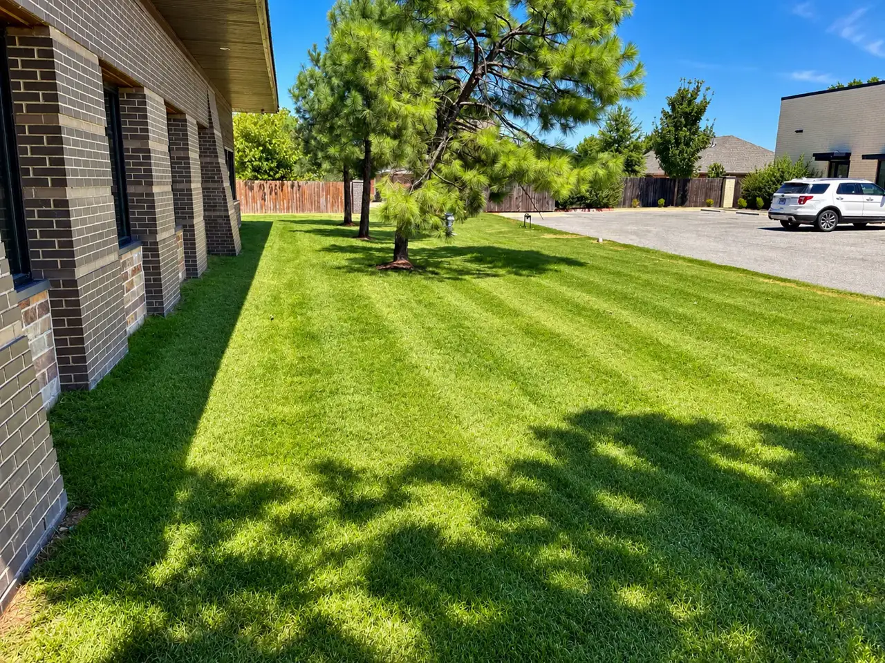 Mown grass lawn shaded by pine trees alongside a brick commercial building, with a parking lot and white SUV in the background